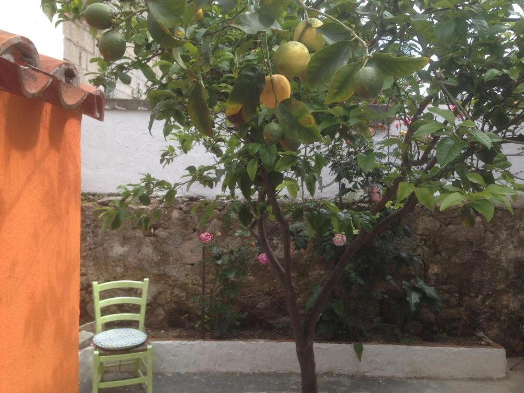 B&B Duca D'Aosta Olbia Buitenkant foto
